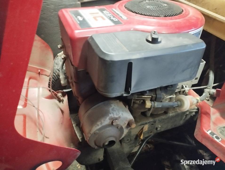 Silnik briggs 12hp Niemojki