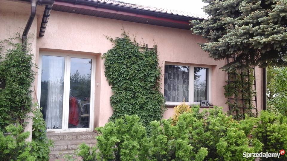 Sprzedam dom 300 m2 i działka 1ha staw Kramsk sprzedam