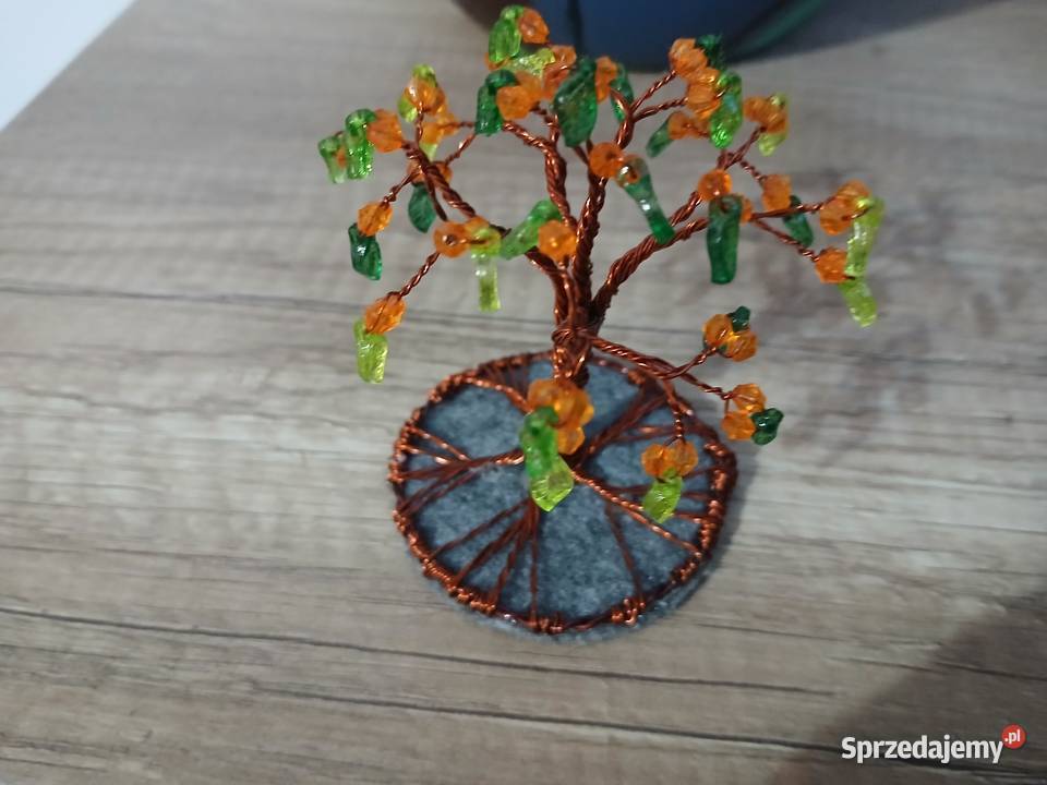 Drzewko szczęścia Olsztyn sprzedam