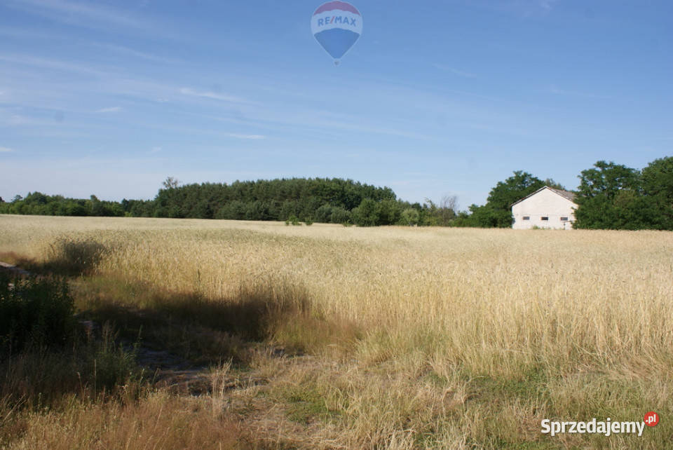 Działka budowlana 3000 m Ruda Radzymin budowlana