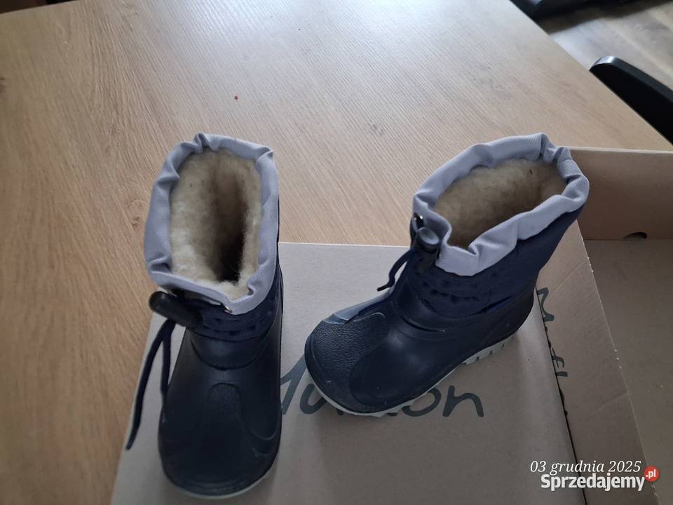 Śniegowce Muflon wielkopolskie Kamienica