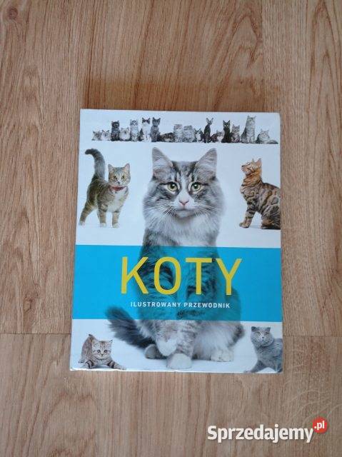 KOTY Ilustrowany przewodnik KSIĄŻKA Chorzów sprzedam