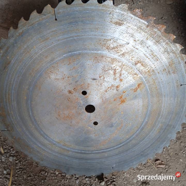 tarcza do ciecia Wieliczka