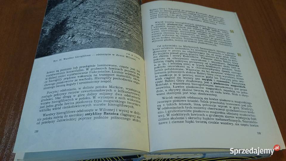 Przewodnik geologiczny zachodnich Karpatach Mapy i przewodniki Gdańsk