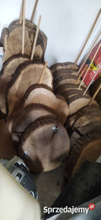 Krążkiplastry dęboweklonowe pomorskie Miastko