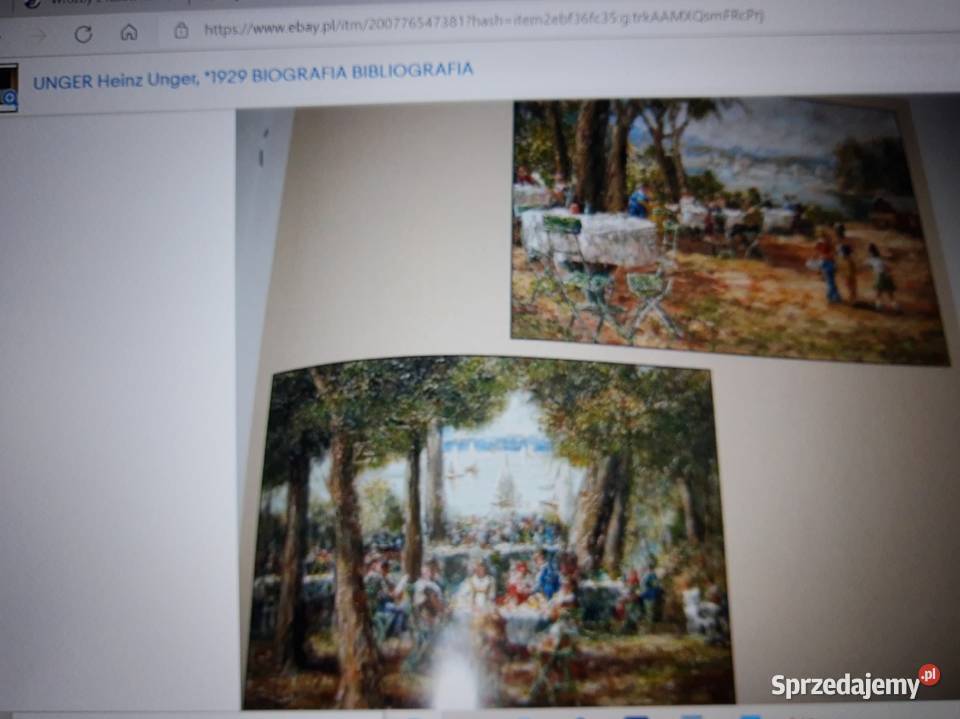 Obraz Heinz Wolfgang Unger 1929 PIKNIK Siemianowice Śląskie sprzedam