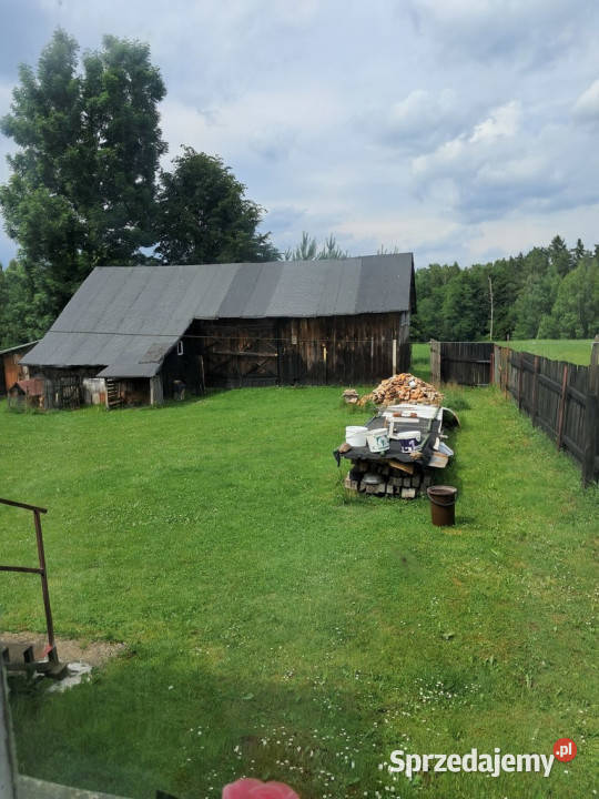 Bajecznie usytuowane siedlisko pod Bychawą mieszkalny lubelskie Gałęzów