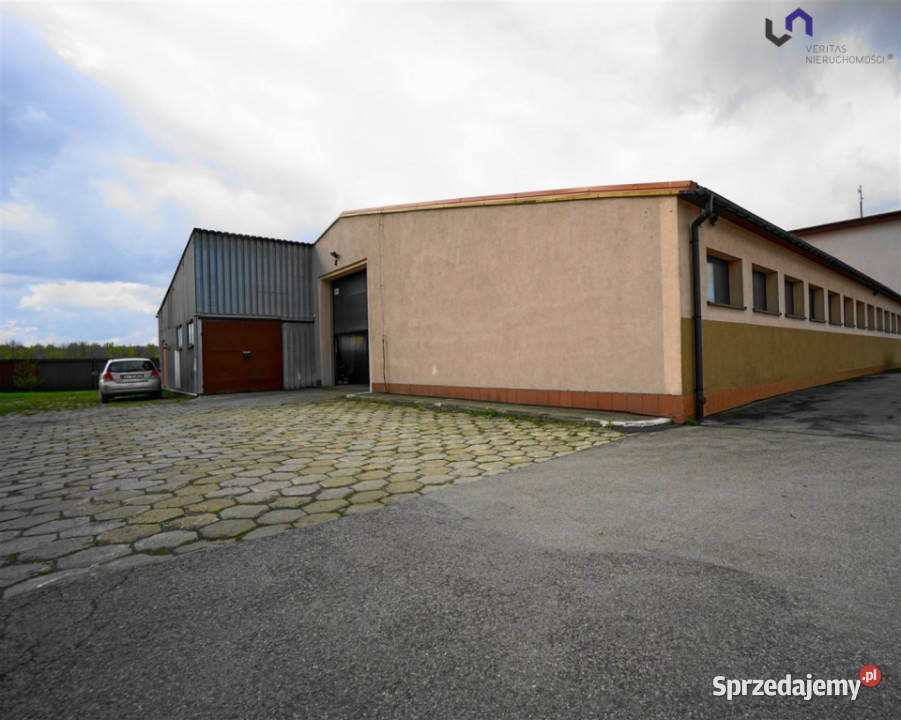Lokal Siemianowice Śląskie 66634m magazyn