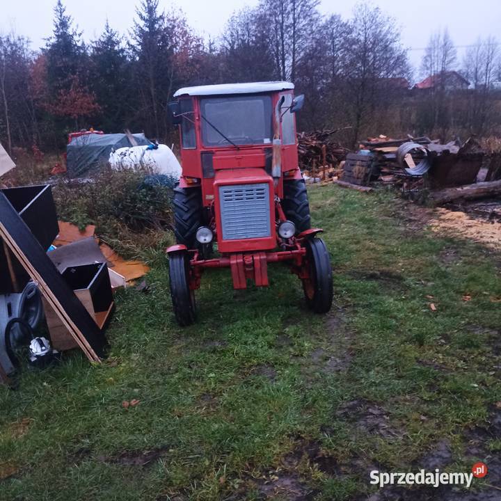 Sprzedam władymirca t25 zarejestrowany Wipsowo