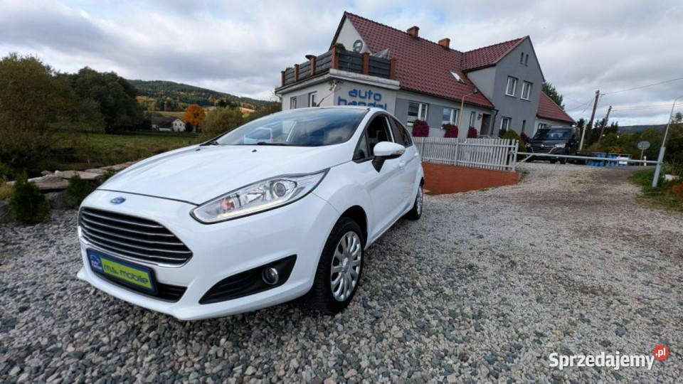 Ford Fiesta 125 benzyna Mk7 2008 ESP