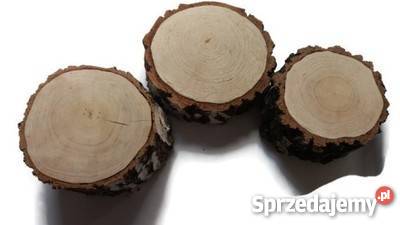 Pieńki Plastry drewniane brzoza śr1520 gr810 śląskie Rybnik sprzedam