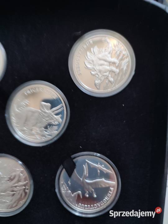 kolekcja dinozaurus Bydgoszcz