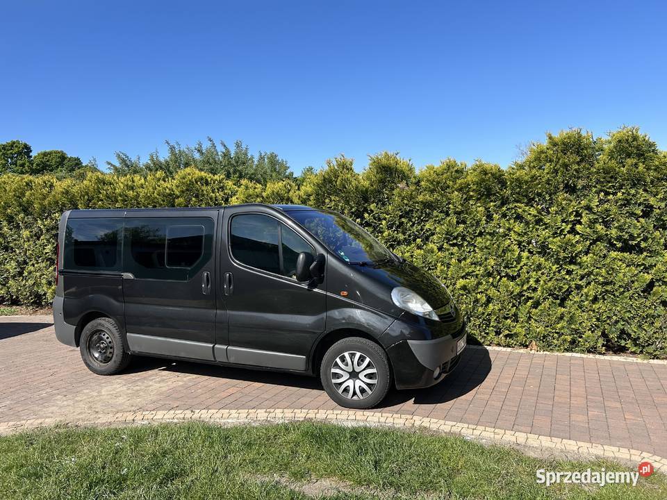 Vivaro 9 osób Klima mały przebieg