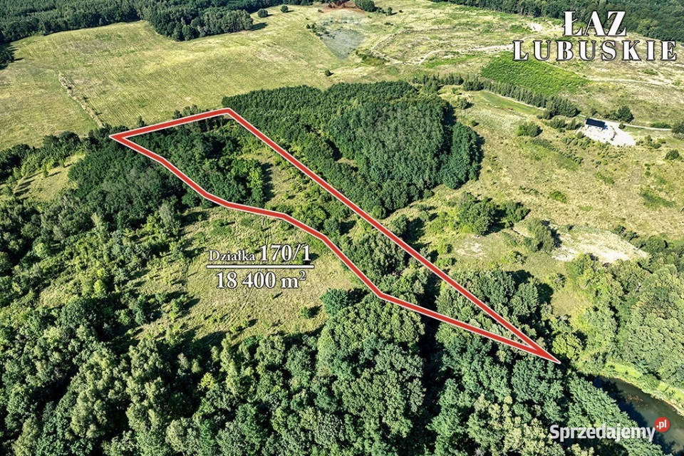 Działka rolna o powierzchni 184 ha Sprzedaż