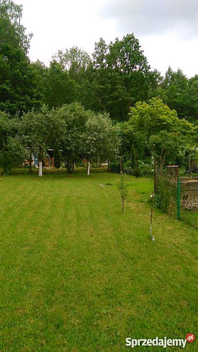 działka ogrodnicza Olsztyn siatka Olsztyn