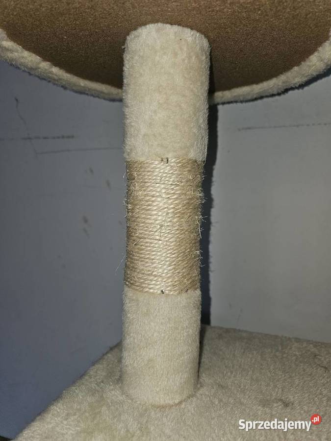 Drapaklegowisko kota wielkopolskie Poznań