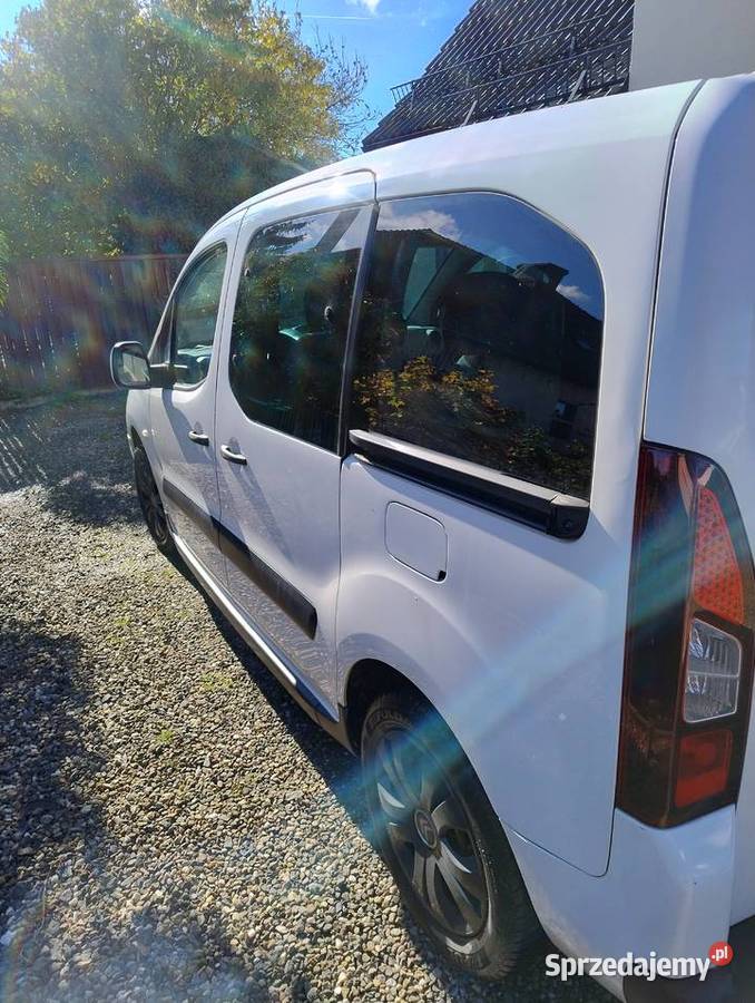 Citroen Berlingo nieuszkodzony Bardo