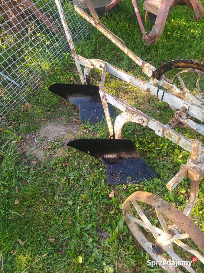 Sprzedam plug małopolskie