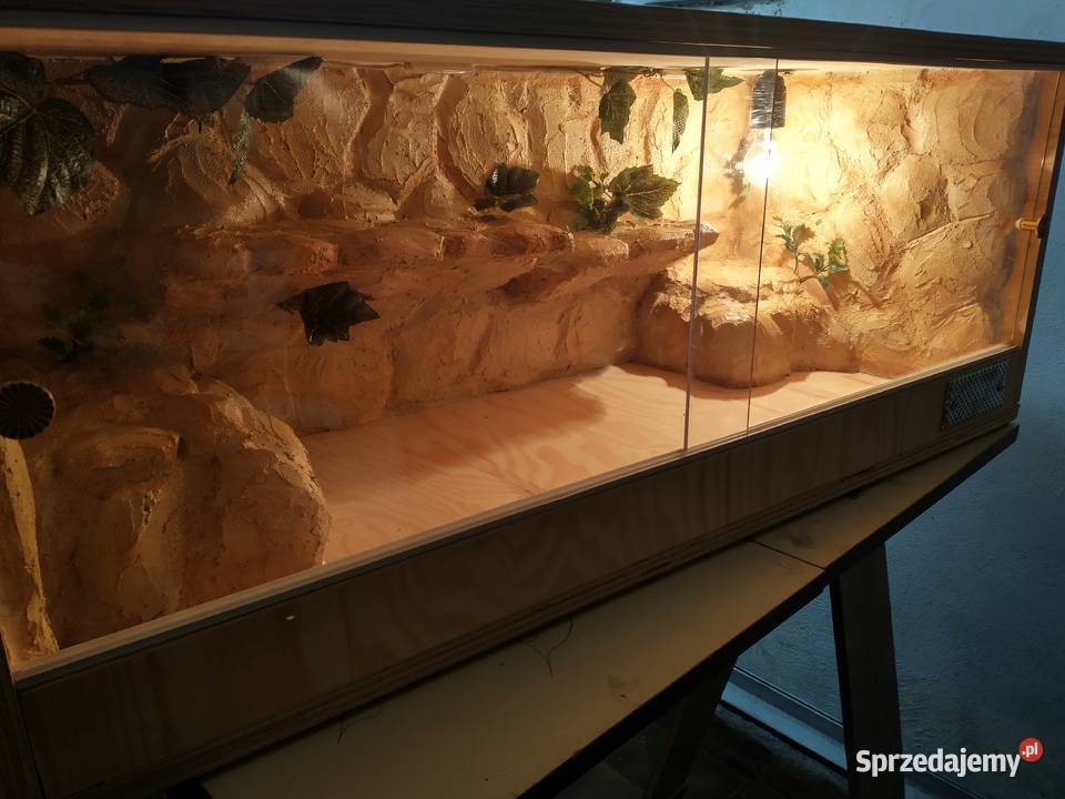 Terrarium skalne98x35x45 Jarosław