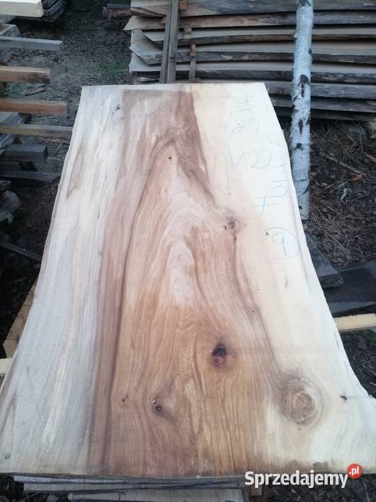 Monolit 120x80 wiąz dąb jesion klon topola Przysucha