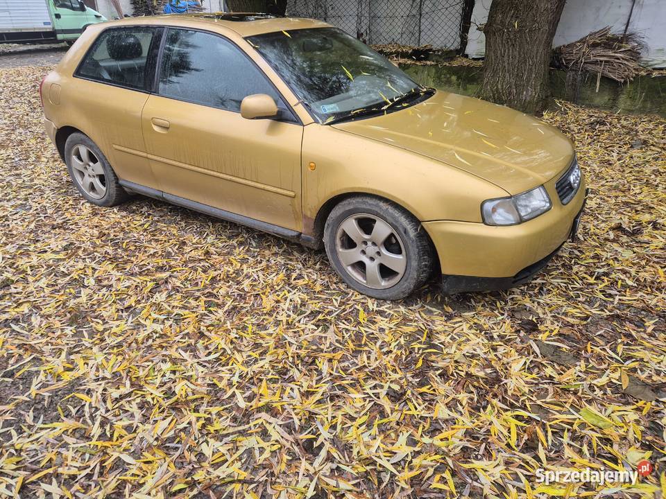 Audi a3 19 tdi Urzędów sprzedam
