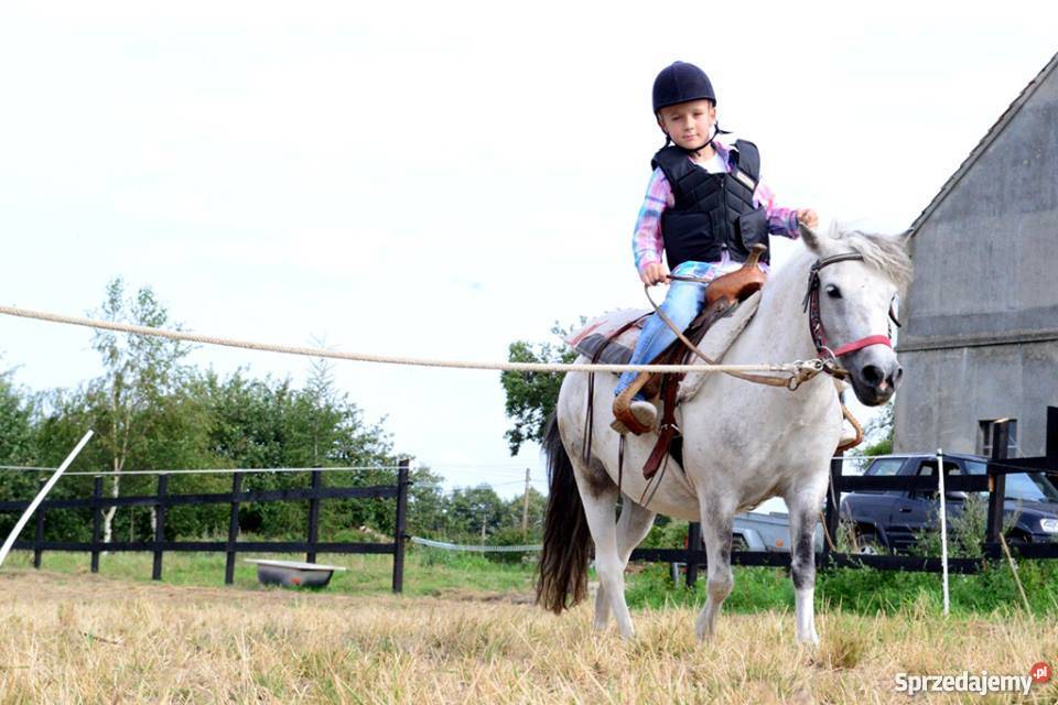 Nauka Jazdy Konnej