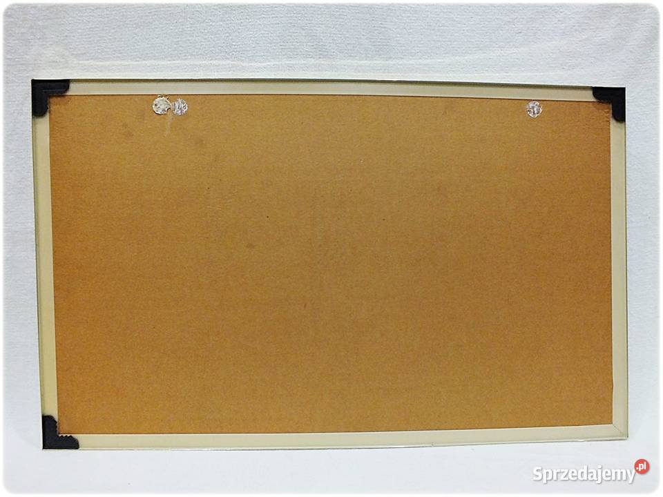 Duży Obraz Skrzydła miłości Stephena Persona z Żary sprzedam