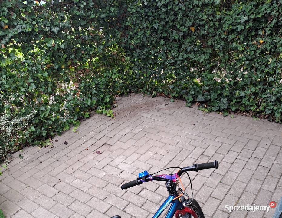 Sprzedam prawa do dzierżawy działki ROD Wrocław
