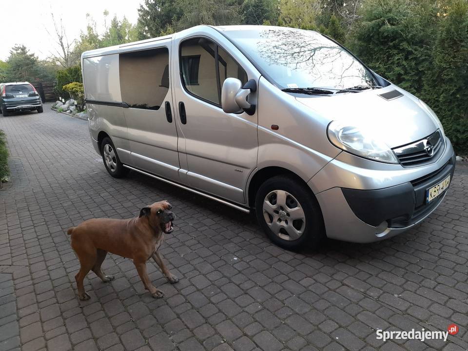 Opel vivaro long nieuszkodzony Samochody osobowe małopolskie Brzesko