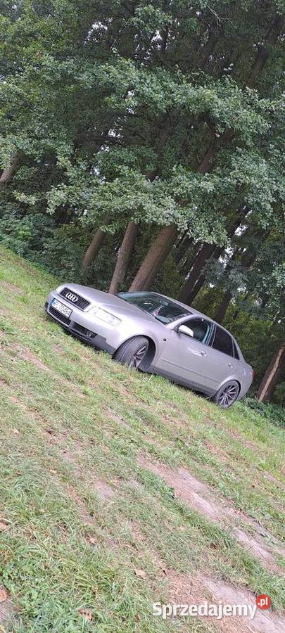 Sprzedał audi a4b6 24v6