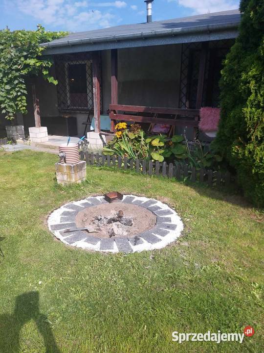 Dwie działki w 1ROD rekreacyjna Grójec