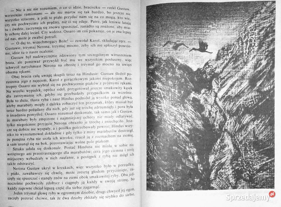 Dolina bez wyjścia Thomas Mayne Reid Chełm