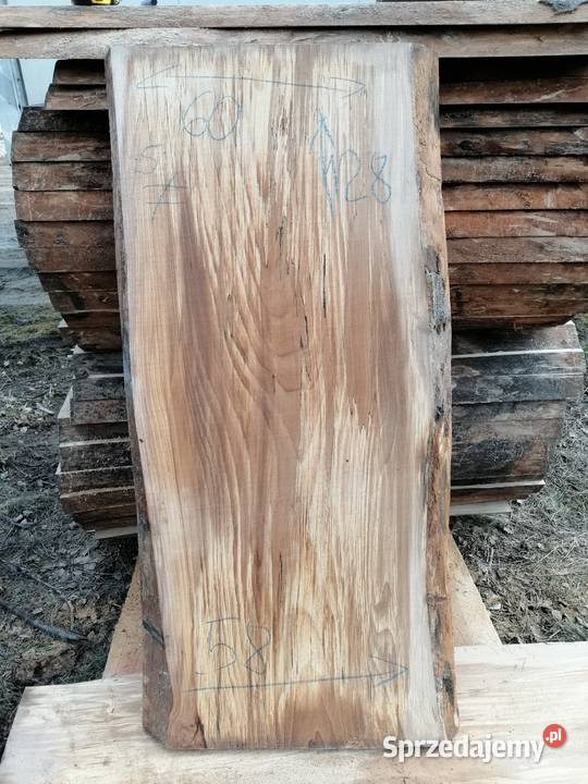 Monolit 124x80x10 wiąz dąb buk jesion stolik Przysucha
