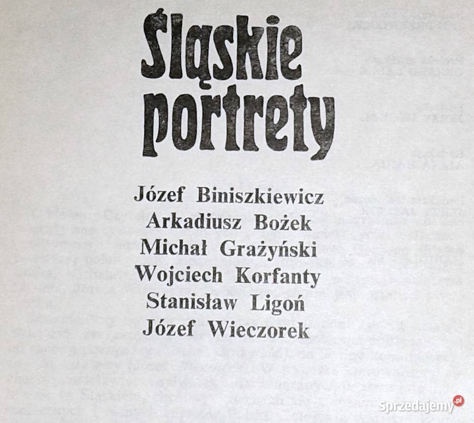 Śląskie portrety Józef Biniszkiewicz i inni Chełm sprzedam