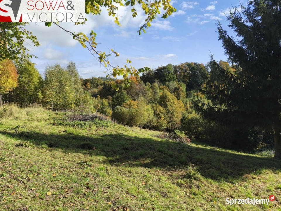 Kameralne miejsce z pięknym widokiem budowlana Niedźwiedzica