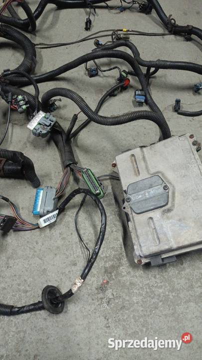 Instalacja elektryczna Silnika Pontiac Firebird osobowe kujawsko-pomorskie