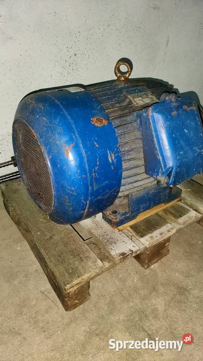 Silnik elektryczny 45kw 2960obrmin CELMA świętokrzyskie Suchedniów