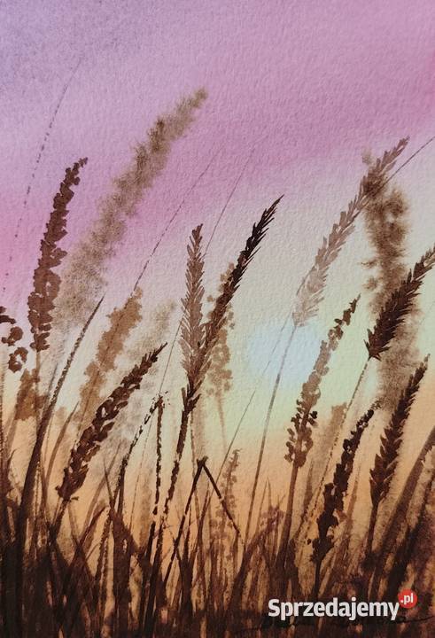 Oryginalna Akwarela Łąka 2 Ręcznie malowana Osobnica