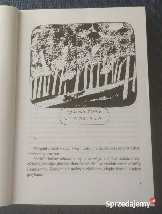 WNUCZKA DO ORZECHÓW Małgorzata Musierowicz miękka Hajnówka