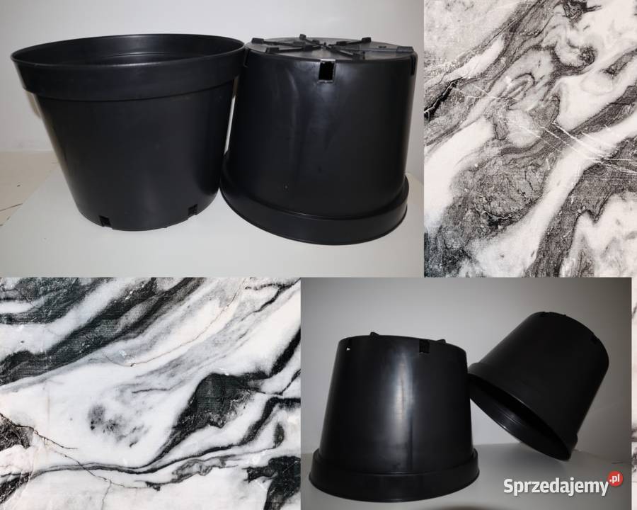 12LPB2 ogrodnik warzywa drzewka owocowe duże świętokrzyskie Zagnańsk