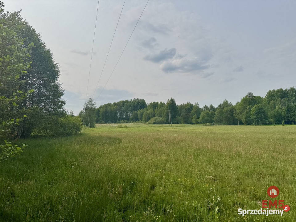 sprzedaży gruntu 2900m2 Kosmaty Borek 35m