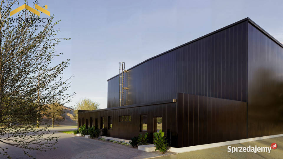 Hale produkcyjne biura 10 000 m działki Nowina
