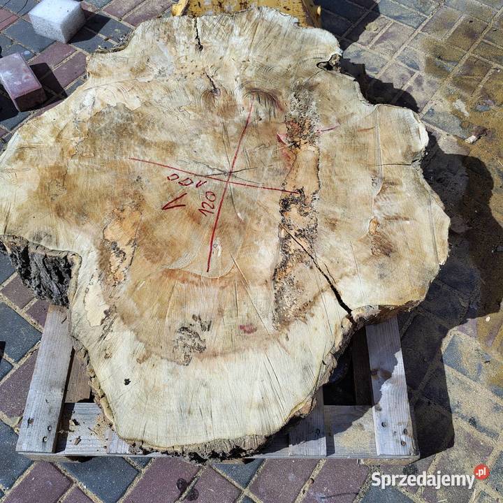Plastry klon czerwony wymiary 120100