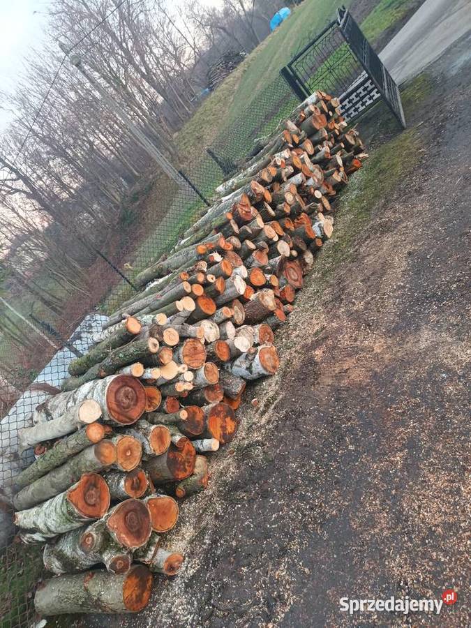 Sprzedam drzewo na opal Bochnia