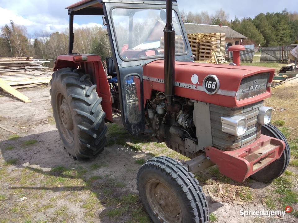 Massey Ferguson 168 Ciągniki lubelskie Stary Lipowiec sprzedam