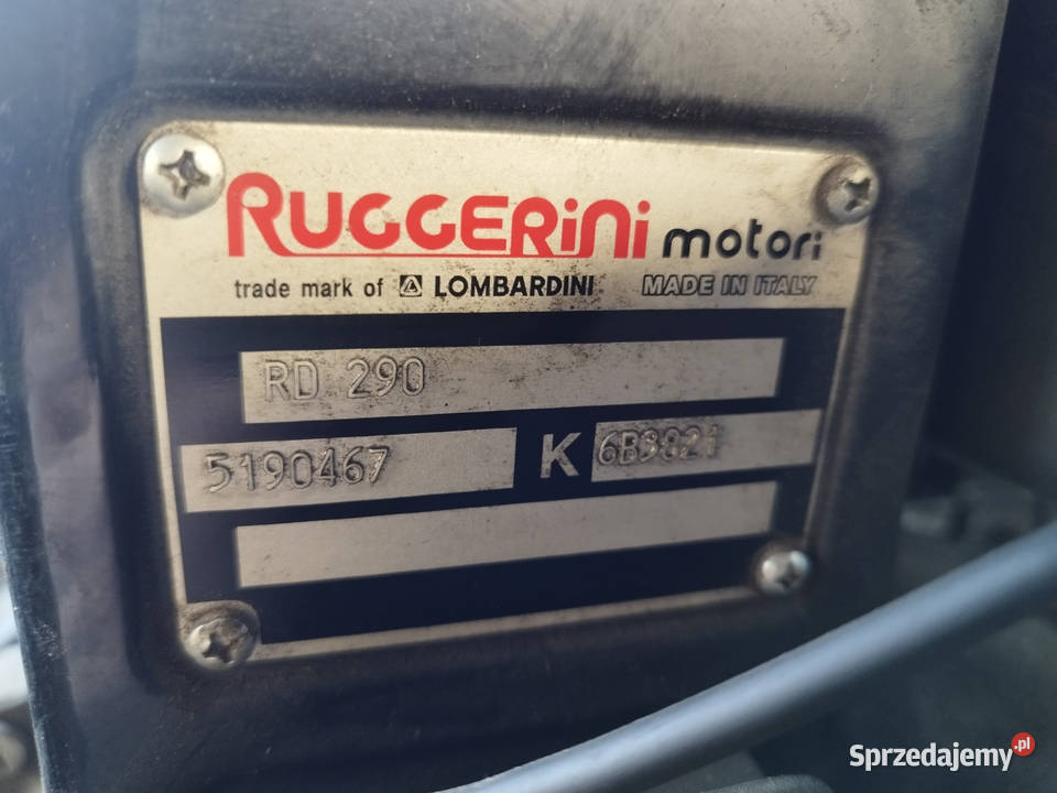 Włoski silnik Tuggerini Motori RD 290 z Prądnicą Pozostałe Strzyżew