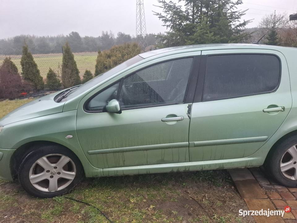 Sprzedam peugeota 307 Konin