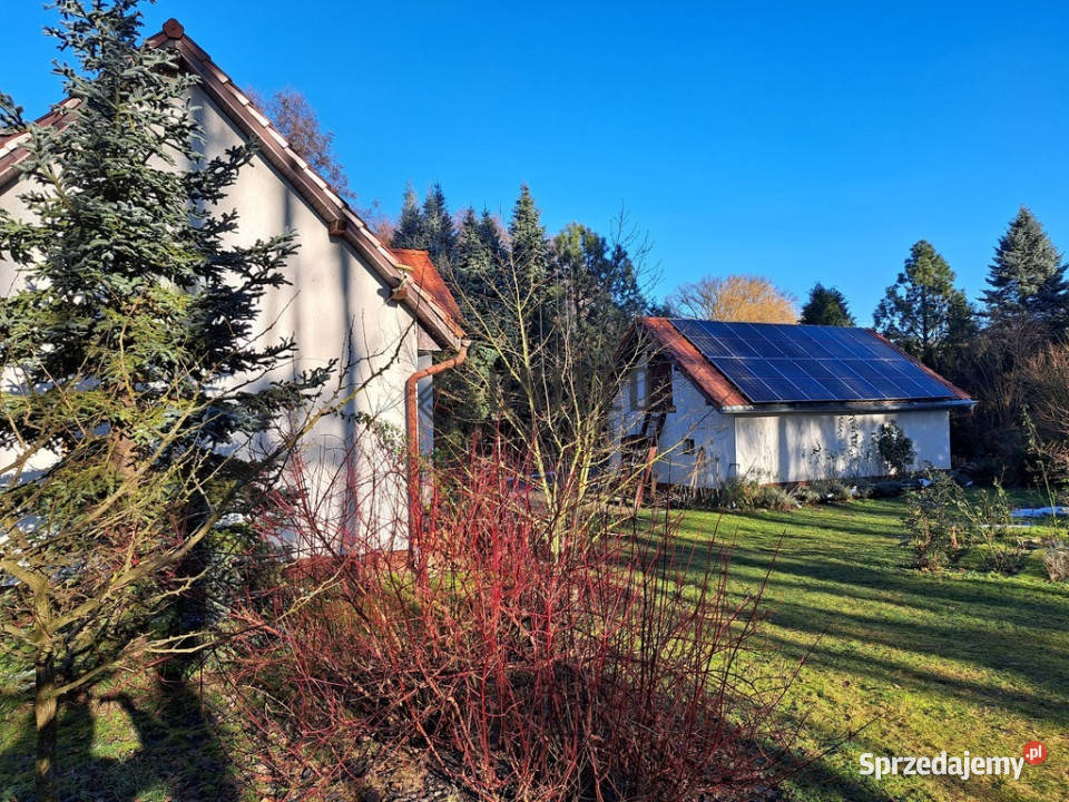 Dom wolnostojący Nowy Dwór kJelcza lesie 204m2