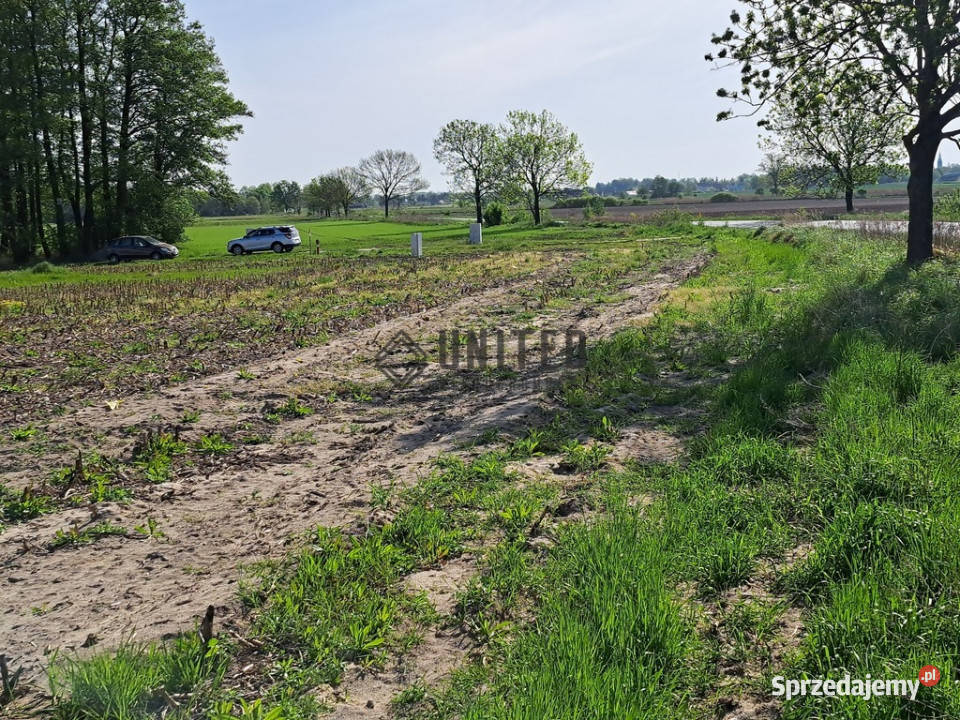 Działki w Jagoszycach niedaleko Prusic