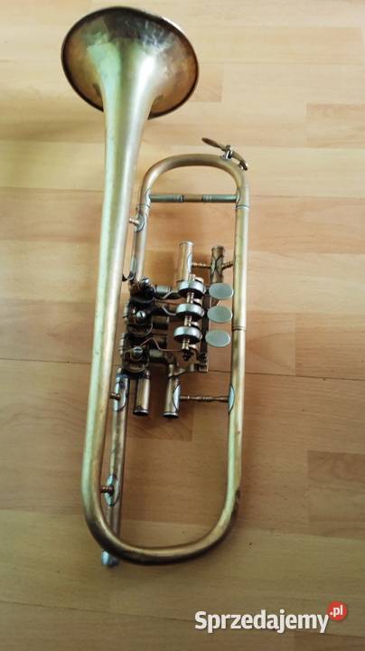 Trąbka skrzydlowa blaszane małopolskie sprzedam